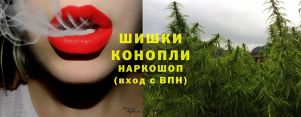 mdpv Новодвинск