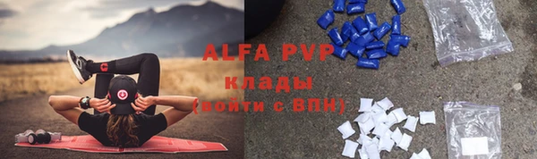 mdpv Новодвинск
