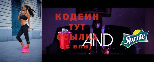 ГАЛЛЮЦИНОГЕННЫЕ ГРИБЫ Нея