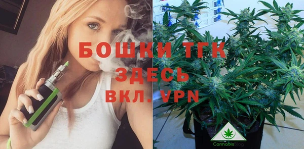 дурь Новозыбков