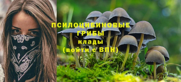 амфетамин Новокубанск